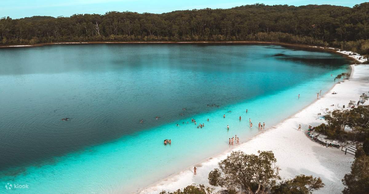 K’gari, l’isola di sabbia più grande del mondo: una guida completa